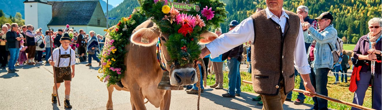 Zum Ausklang des Almsommers finden vom 10. bis 21. September die traditionellen Almabtriebe im Tannheimer Tal statt. Foto: TVB Tannheimer Tal/Achim Meurer